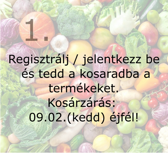 Kezdő