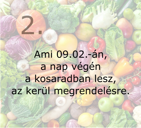 Kezdő