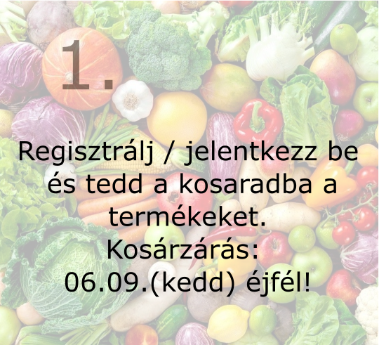 Kezdő