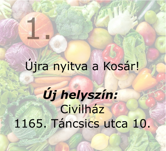 Kezdő