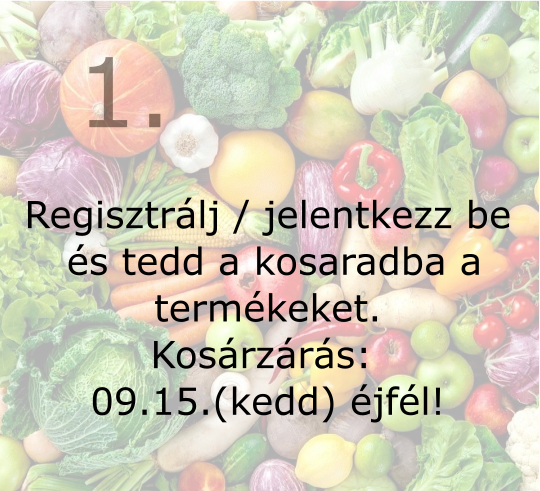 Kezdő