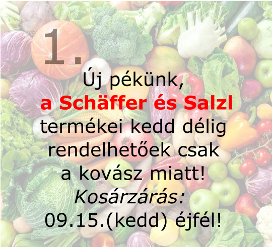 Kezdő