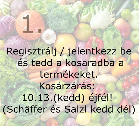 Kezdő